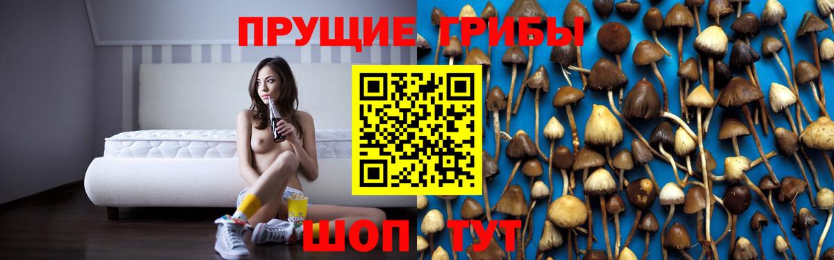 Тихорецк  Галлюциногенные грибы Psilocybe  Вход с VPN 